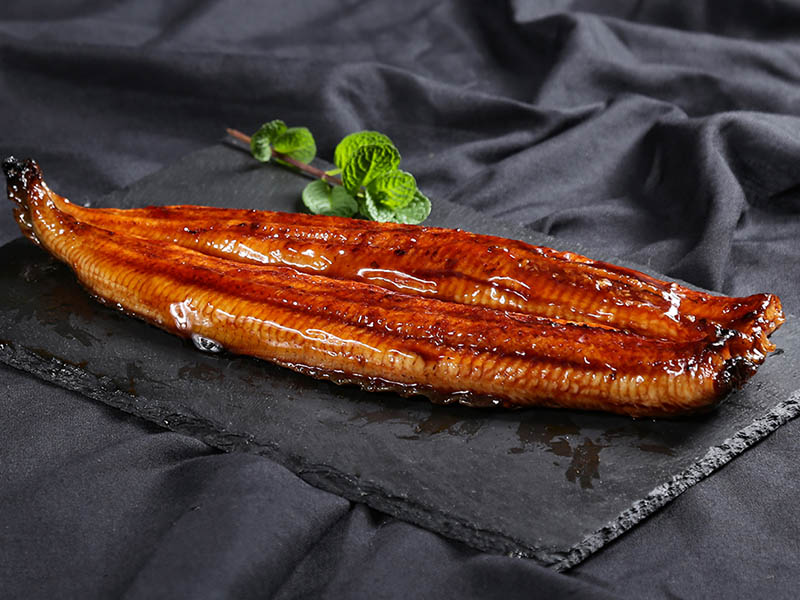 美味佳餚：鰻魚的營養價值